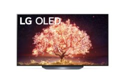 REVIEW – LG 65B19LA